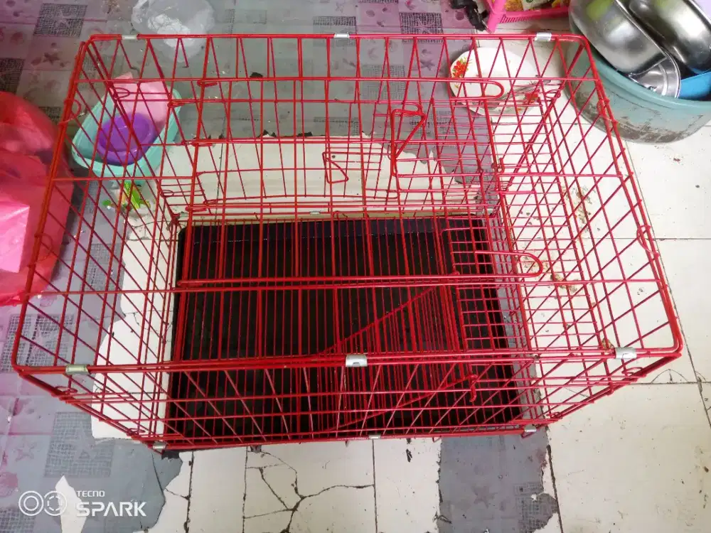 Kandang kucing murah