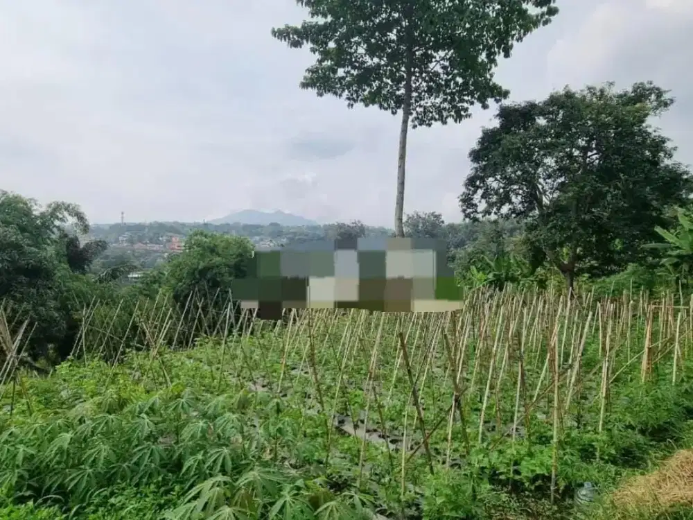 Murah Kavling Luas Gudang Kahuripan Lembang Dekat Hotel GAIA