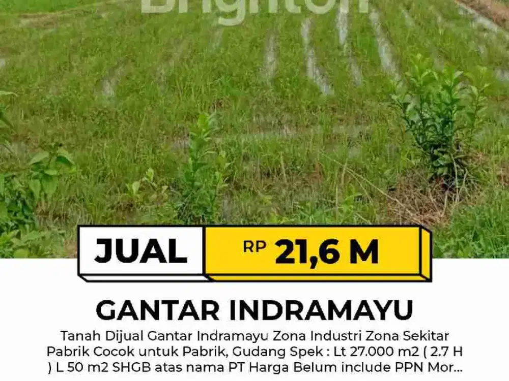 Tanah Di Gantar Indramayu
