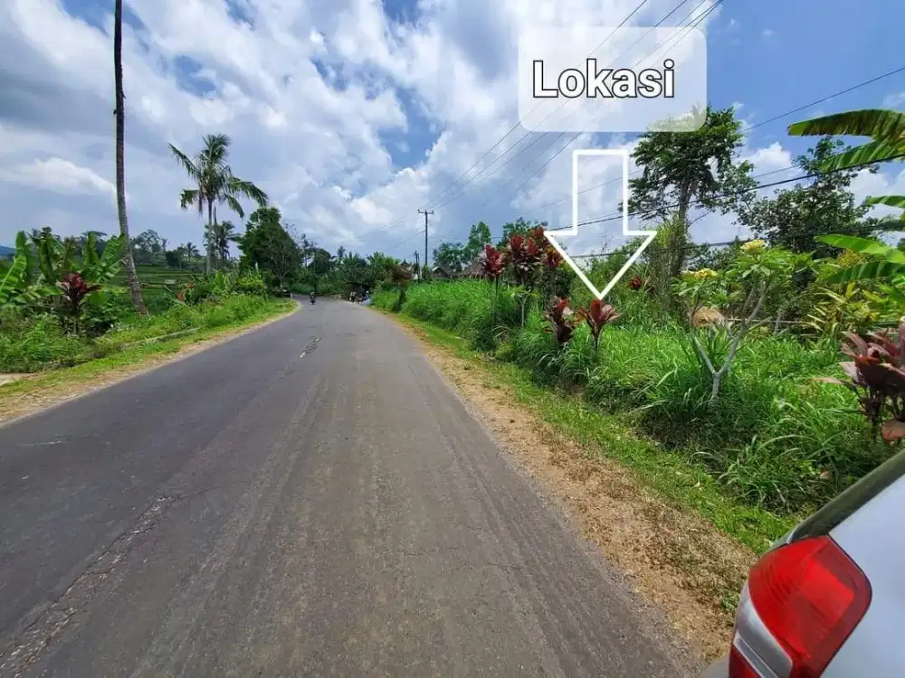 Tanah murah dngan view depan sawah