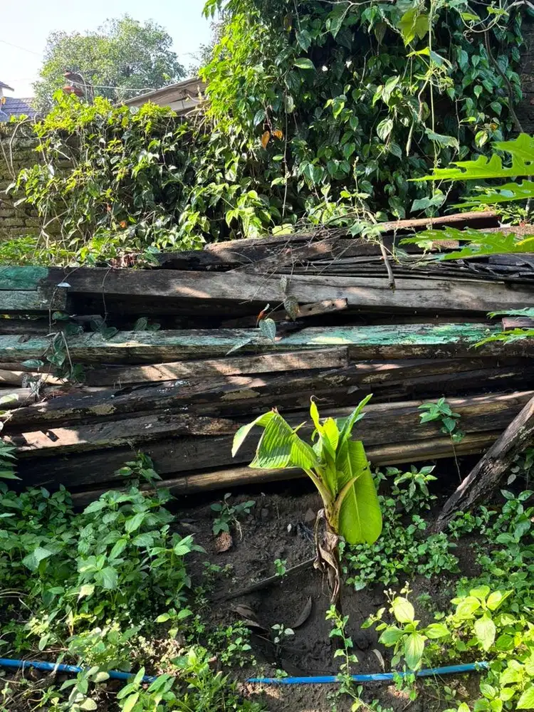 Yang Cari KAYU BAKAR bekas bongkaran rumah tidak untuk bangun ulang