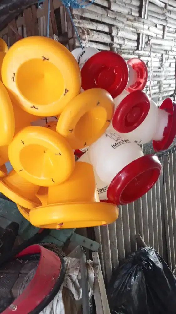 Jual tempat pakan ayam dan tempat minum ayam