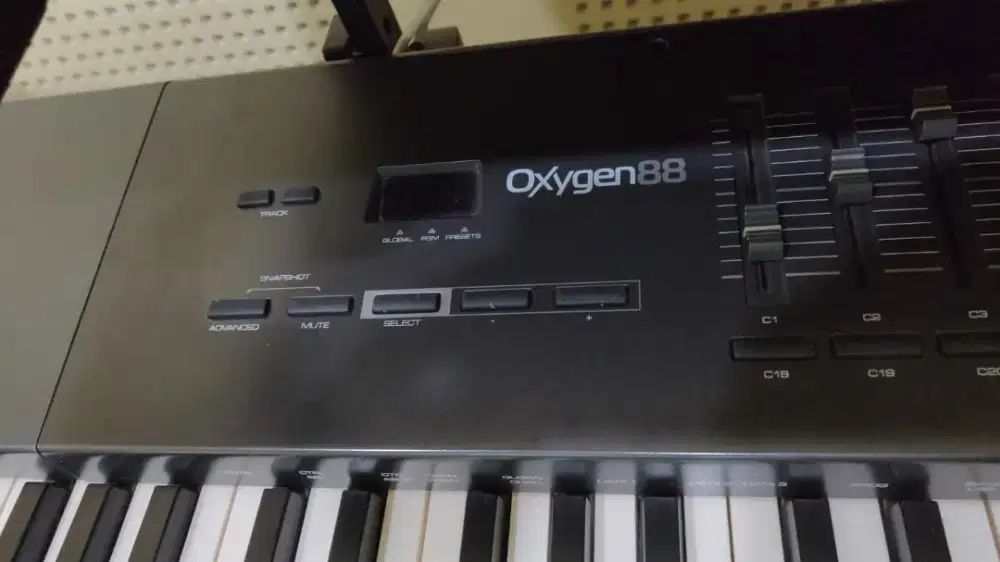 M Audio Oxygen 88