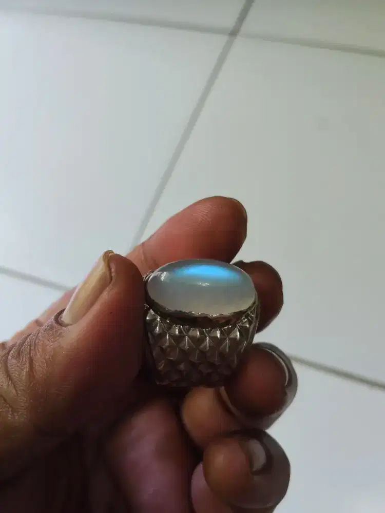 Monstune Air Laut from Srilangka