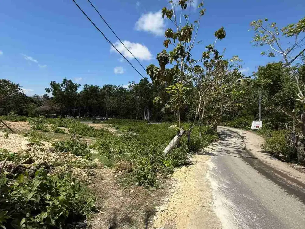 TANAH KOMERSIL CEMONGKAK/DREAMLAND