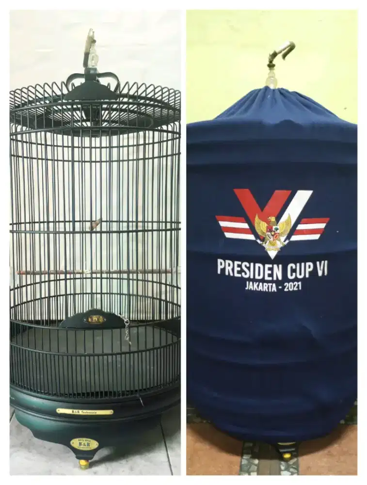 Murai Medan gacor sama Kandang BNR