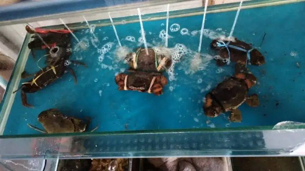 Lowongan waiters dan kasir resto