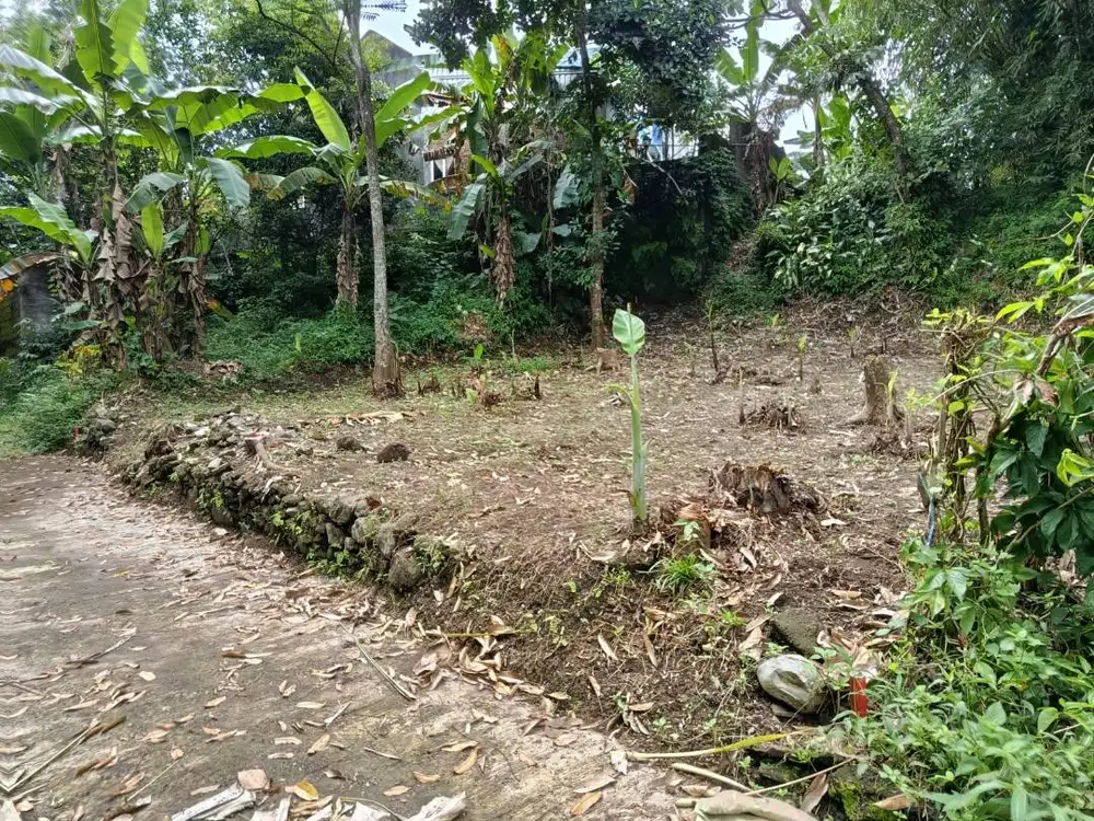 Tanah strategis 196m2 dalam kota magelang