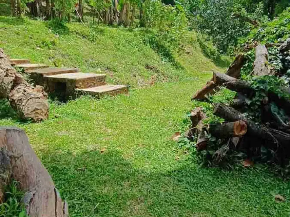 dijual tanah siap bangun cocok untuk cafe outdoor hidden gem dijagajarsa