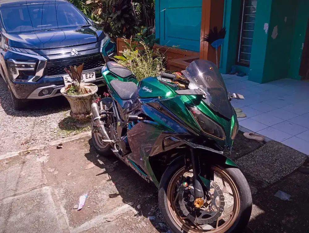 KAWASAKI NINJA 250 FI