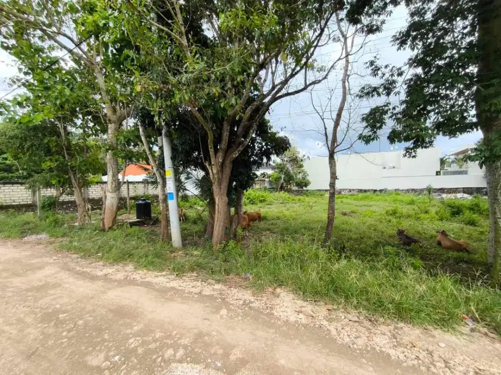 Tanah sewa cocok untuk villa di pantai cemongkak Uluwatu