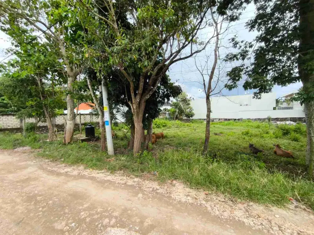 LEASE HOLD 40 ARE CEMONGKAK