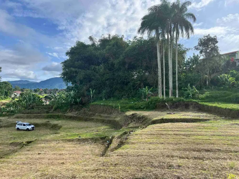 Tanah di puncak bogor ketinggian di 900mdpl