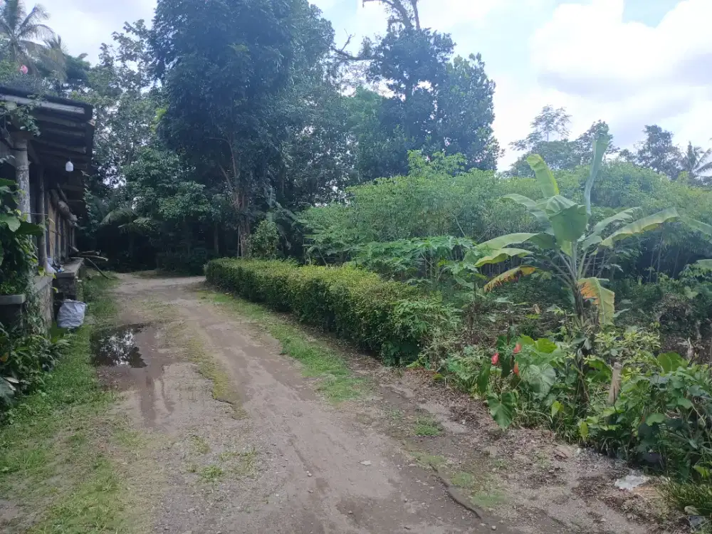 Tanah pekarangan Bonus rumah