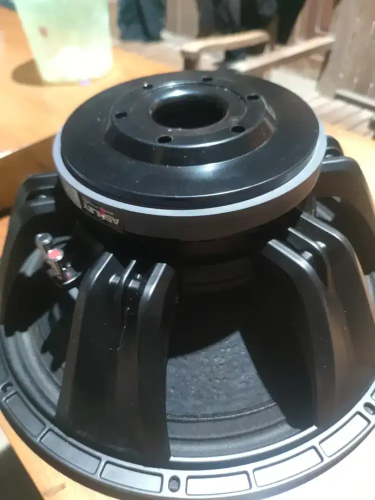 Speaker Ashley LF18V400