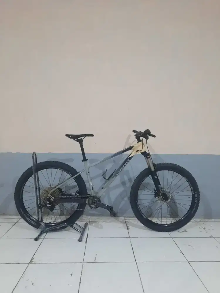 POLYGON XTRADA 6 TAHUN 2022