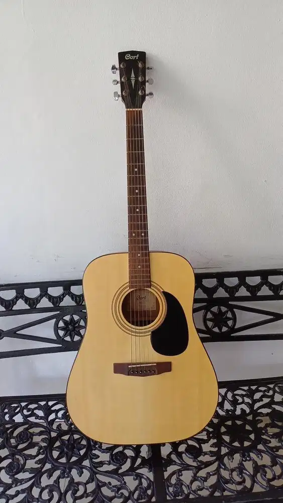 gitar cort ad810e op