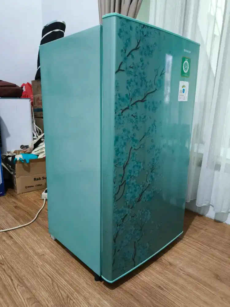 Kulkas 1 pintu normal