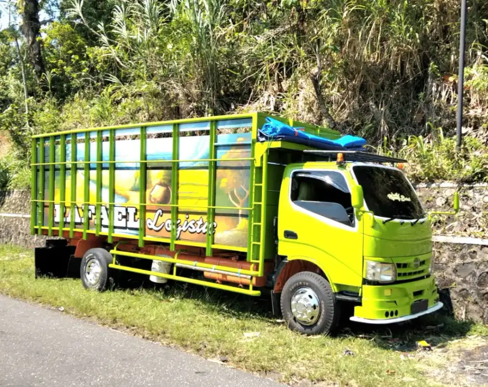 HINO DUTRO 130PS DOBEL BAK KAYU