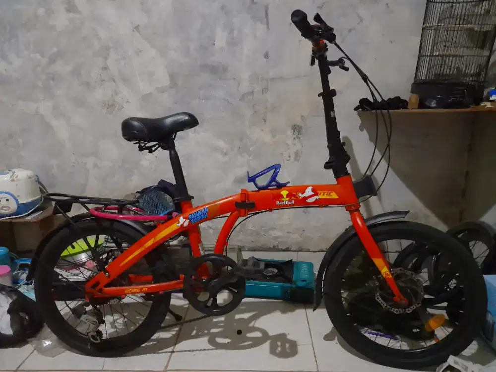 Exotic by pacific 2026 AR Uk 20