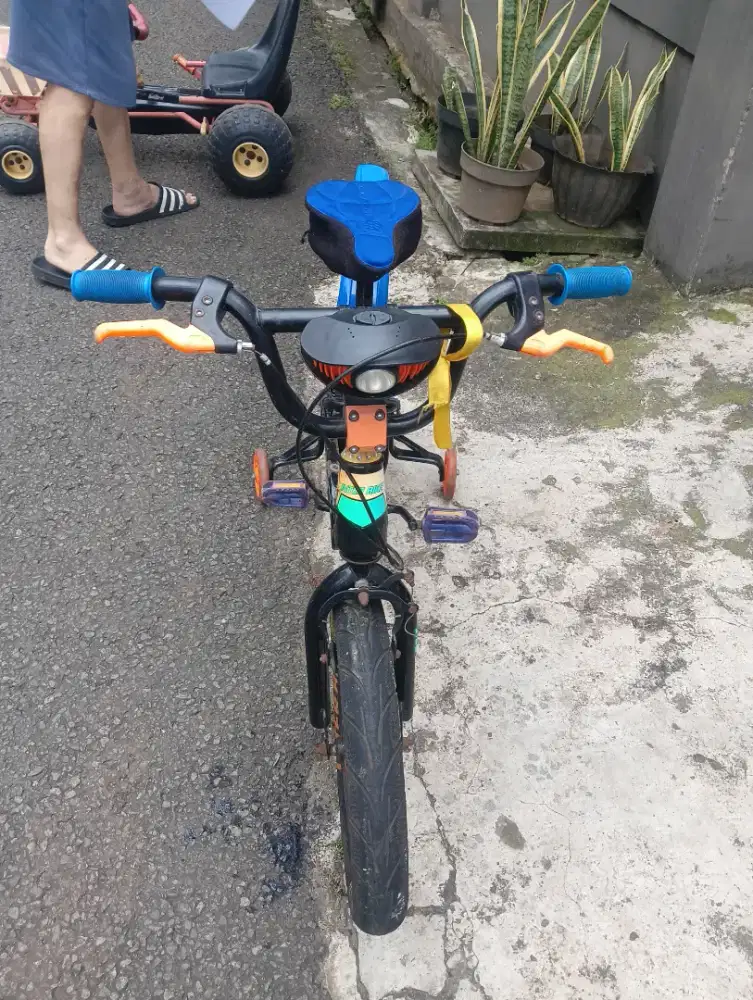 Sepeda Anak Inter Bike