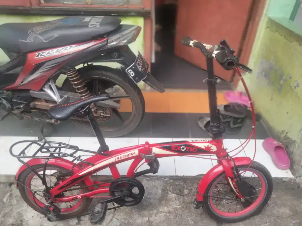 Sepeda listrik exotic