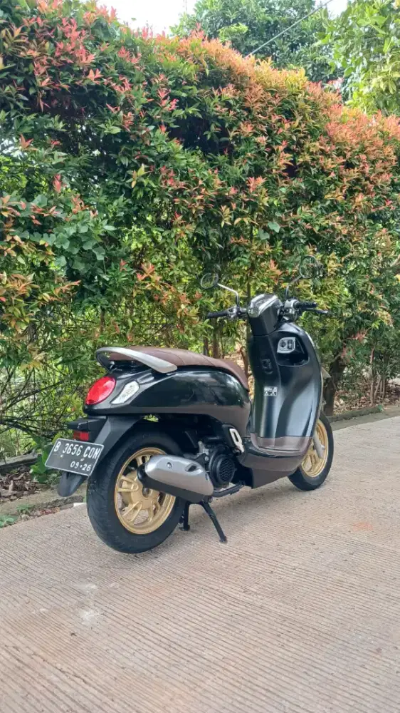 Dp 500rb Honda New Scoopy Prestige thn 2021