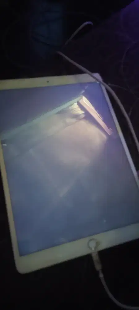 Ipad pro 2017 256gb MINUS