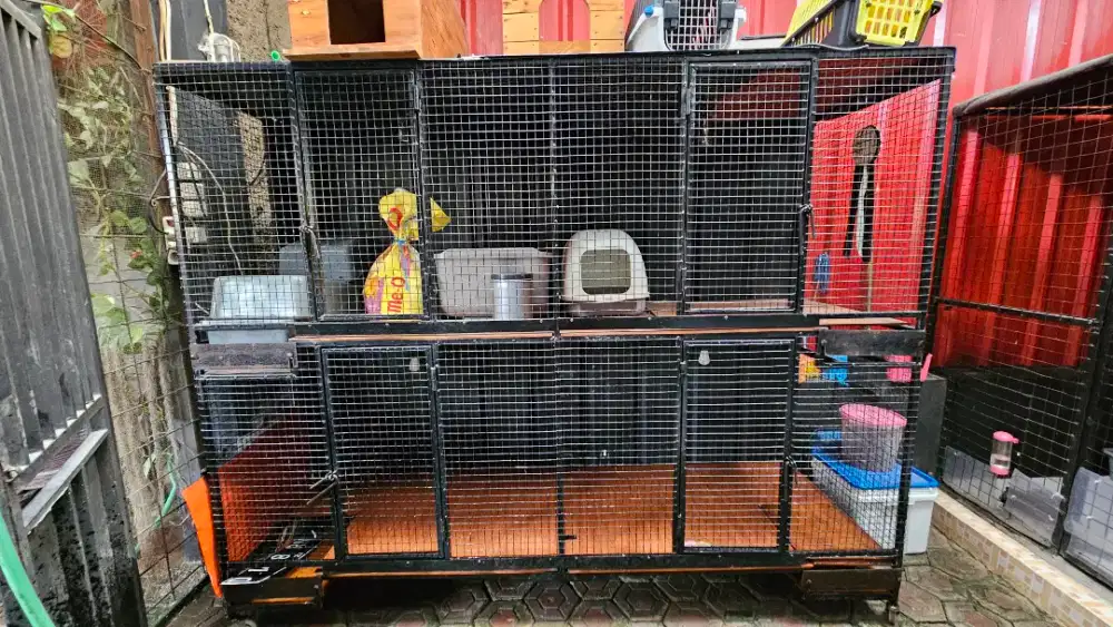 Kandang kucing besi weirmess