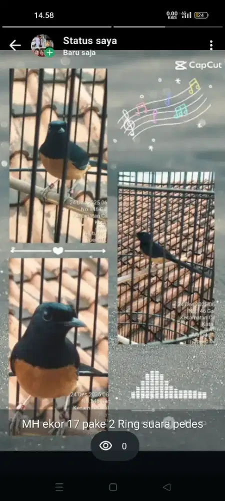 MH pake 2 Ring suara pedes full set