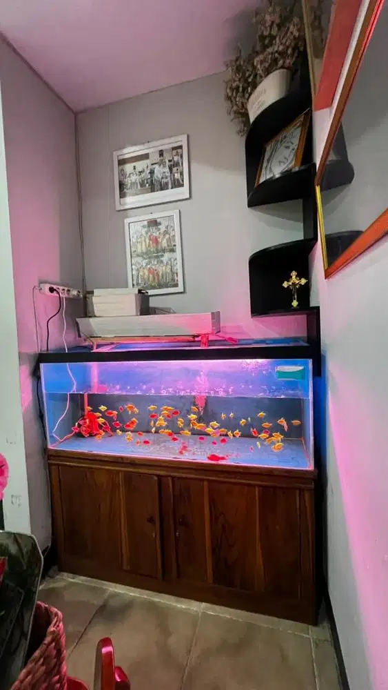 Aquarium beserta ikan