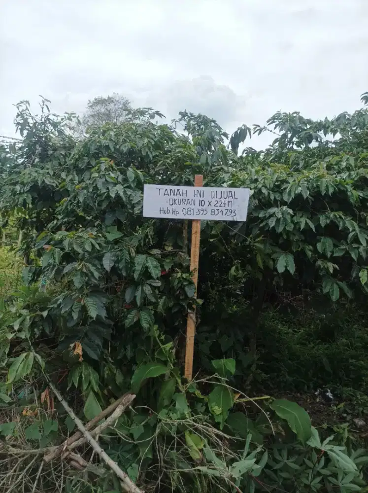 Dijual  Tapak lokasi nyaman, strategis, dekat Kantor Bupati Karo