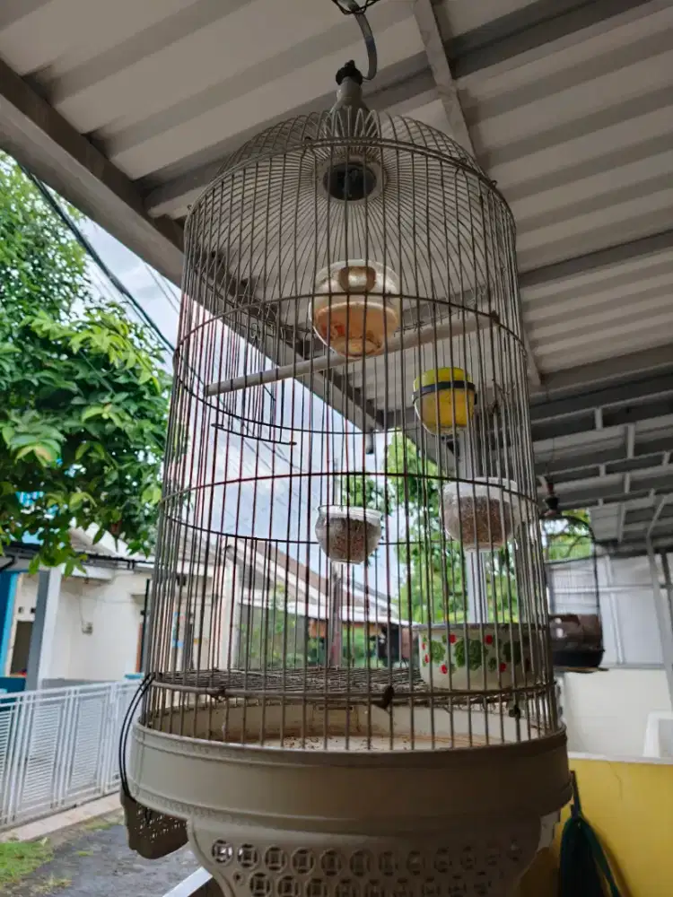 Kandang burung dua unit