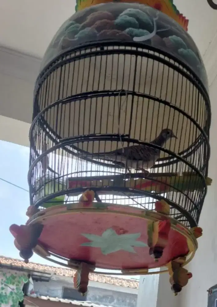 JUAL KANDANG MAHKOTA HITAM PAMULANG