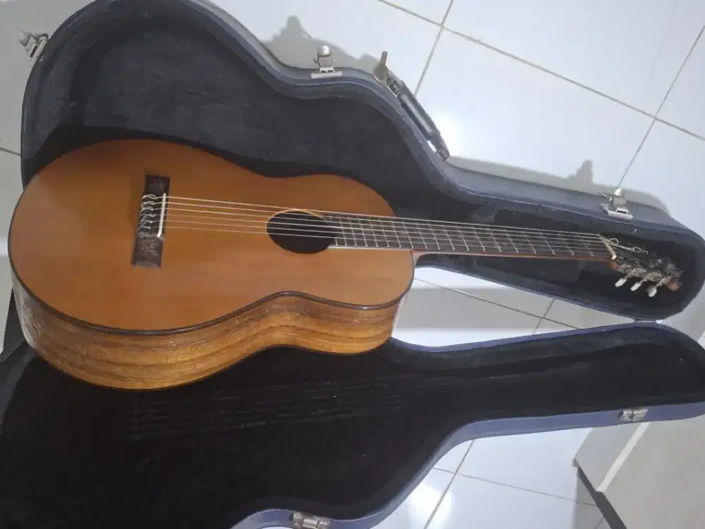 Gitar Blueberry Bali