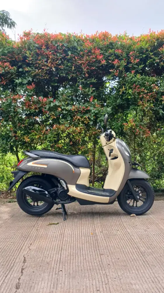 New Scoopy Fashion tahun 2023 Muluss Pakai