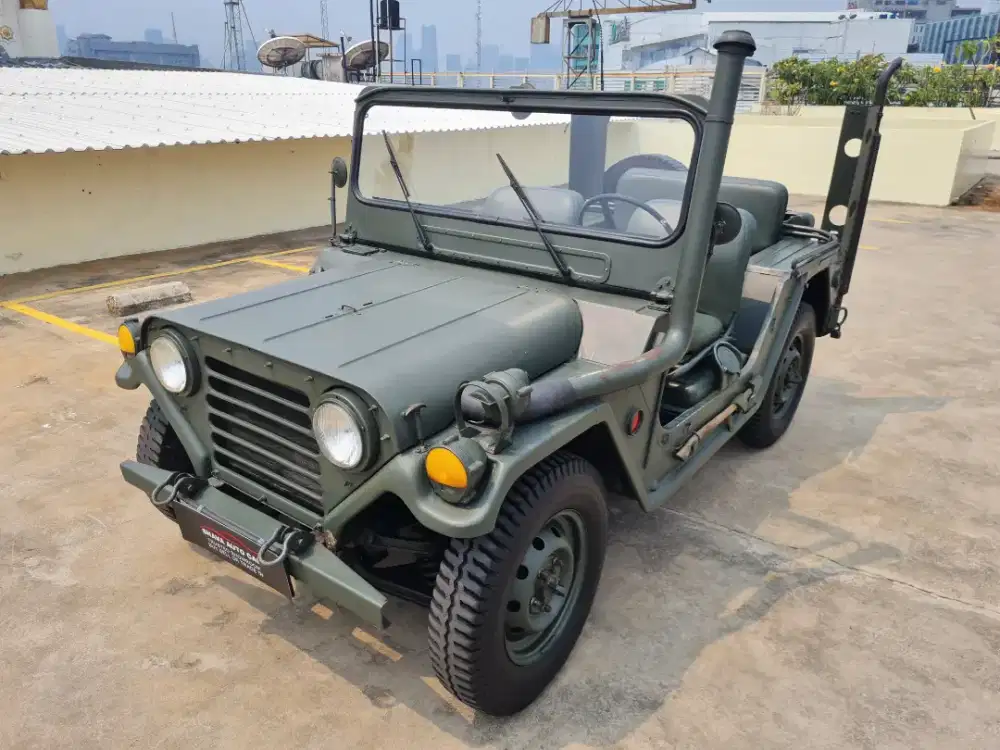 Willys Ultility Mt good condition 1965 (Antik)