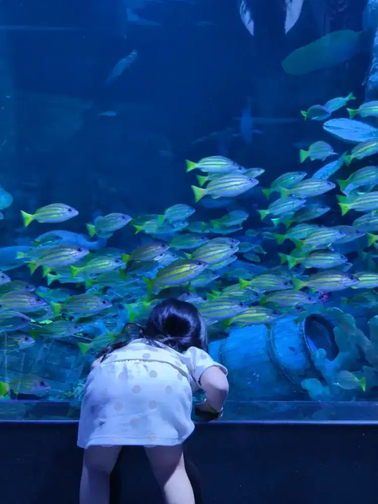 DIBUTUHKAN ART BABYSITTER MENGINAP/PP