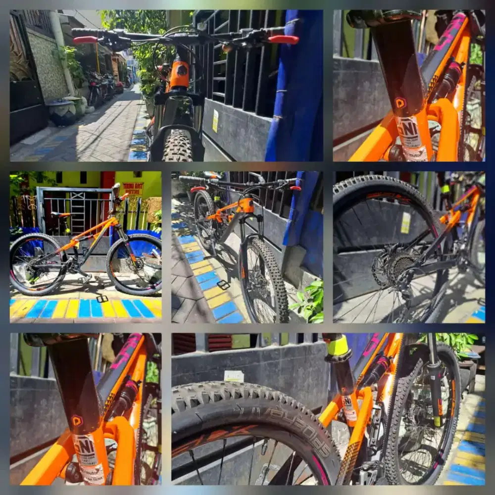 SEPEDA MTB POLYGON SISKIU D5 2020