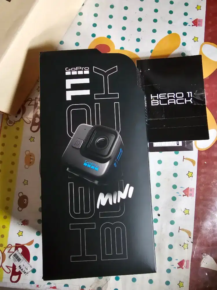 GO pro Hero 11 black mini