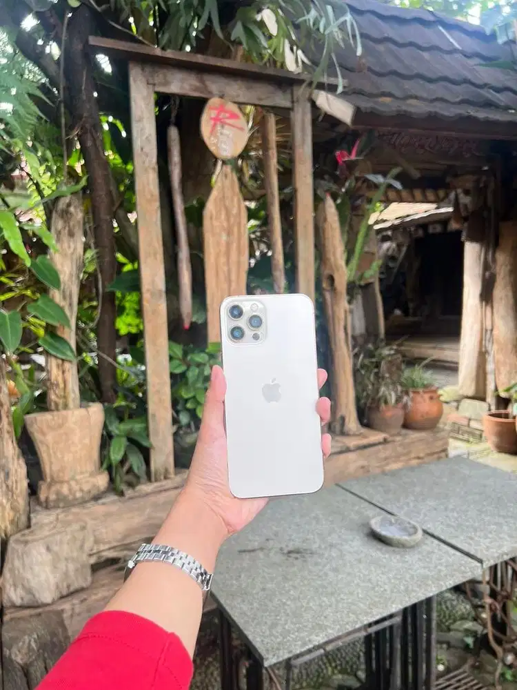 Iphone 12 PM All Operator