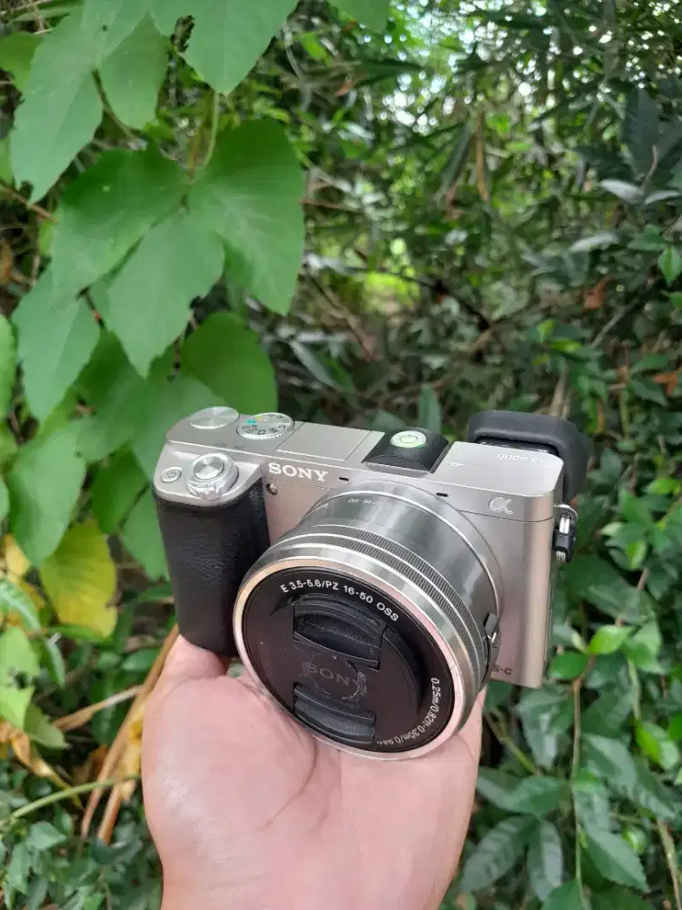 Kamera sony a6000 lensa kit muluss