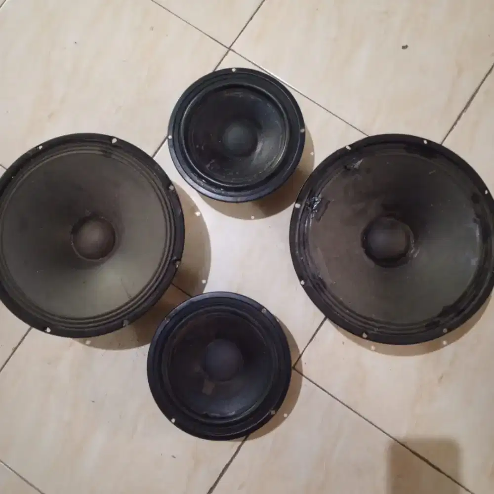 spekert 12 2 biji, 8 2 biji,