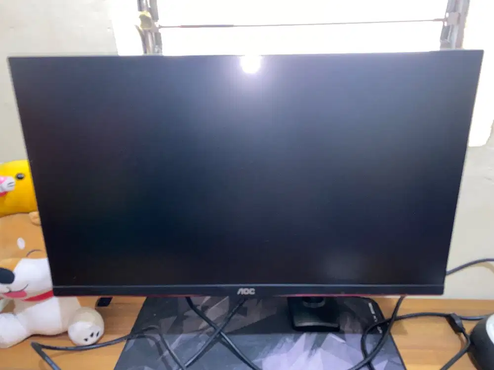 LCD Monitor AOC