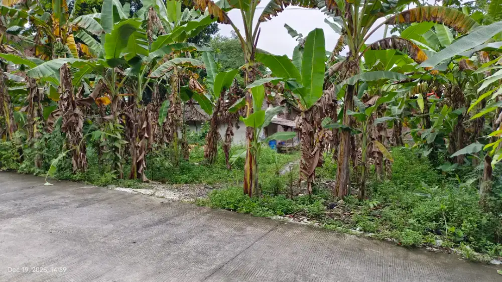 tanah meteseh bukit kencana tembalang