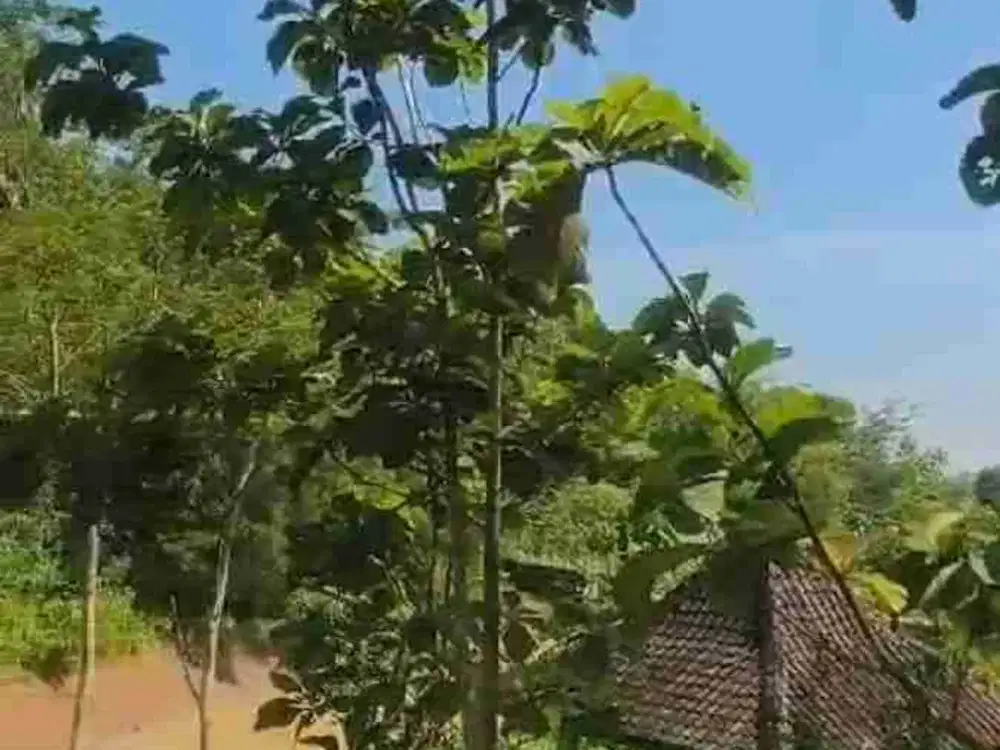 Dijual Villa di pengasih kulonprogo yogyakarta