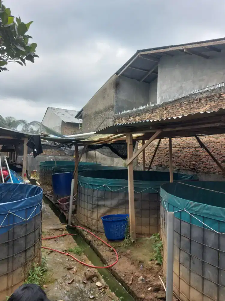 Jual Tanah Bekas di pakai untuk kolam ikan terpal