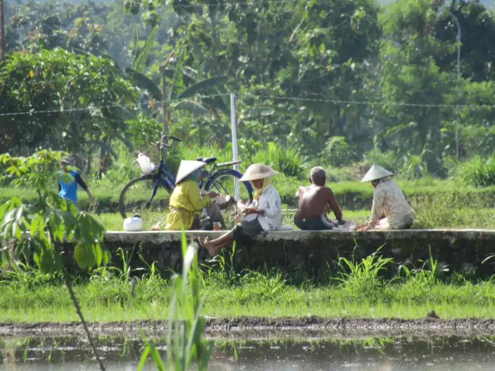 Canon powershot sx430is wifi (harga nett)