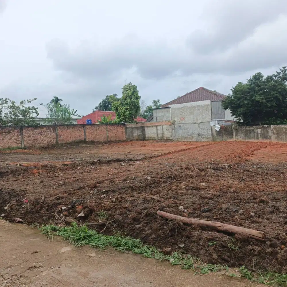 Jual Tanah Kebun Handil Dekat Polsek Jelutung