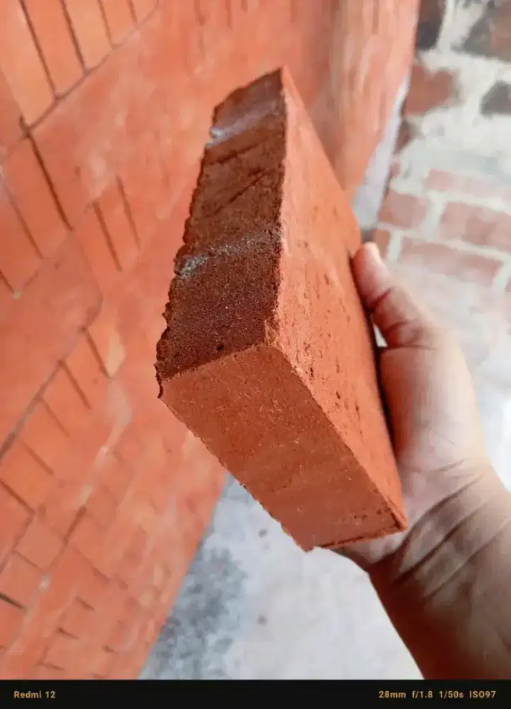 Bata merah murah berkualitas